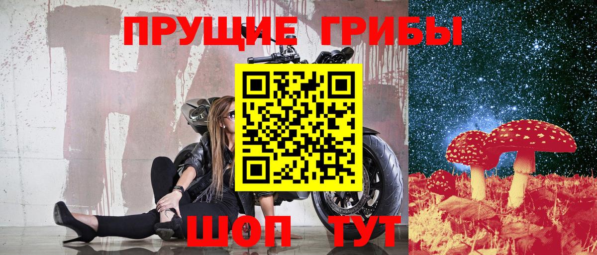 Псилоцибиновые грибы Magic Shrooms  Галлюциногенные грибы Cubensis  Вход с VPN  Свободный 